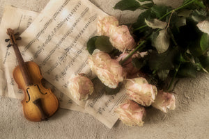 poster-print-the-violin