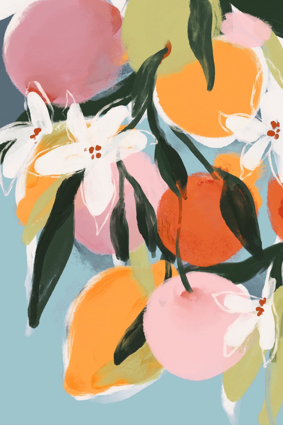 acrylic-print-blossom039s-harvest