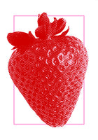 aluminium-print-red-strawberry