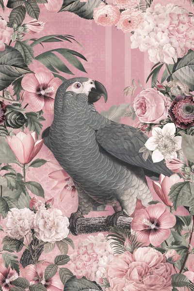 poster-print-the-parrots-paradise-garden-2-pastel-pink