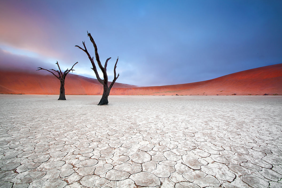 framedcanvas-print-mist-over-deadvlei-x