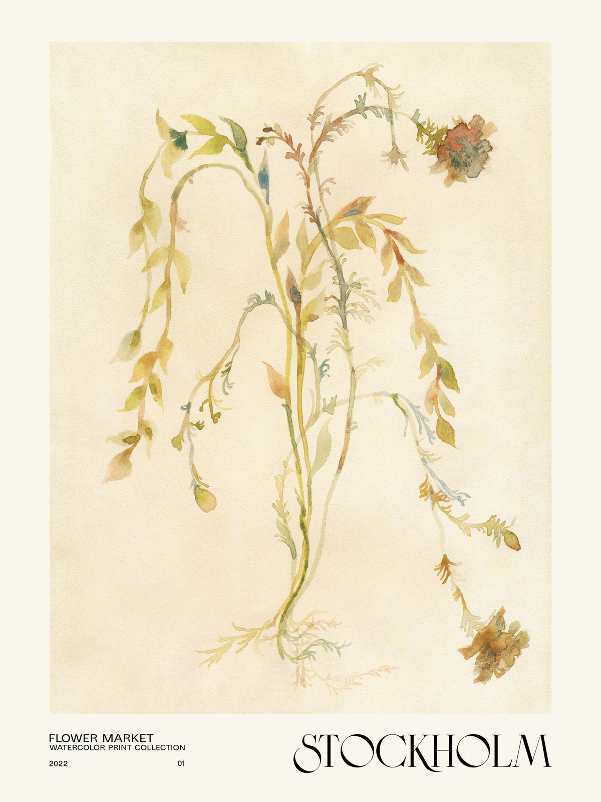 aluminium-print-watercolor-print-collection-flower-market-stockholm
