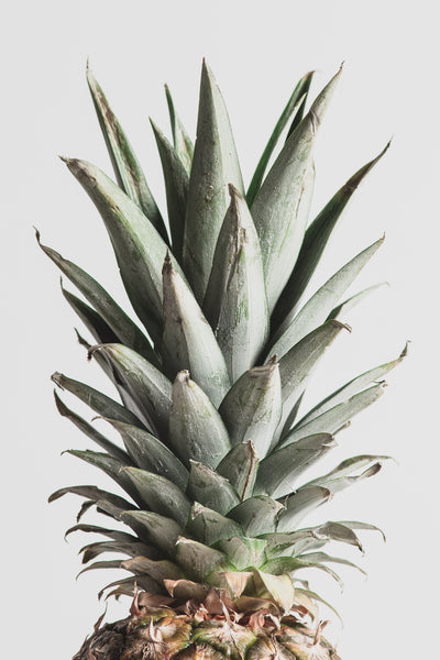 poster-print-pineapple-natural-02