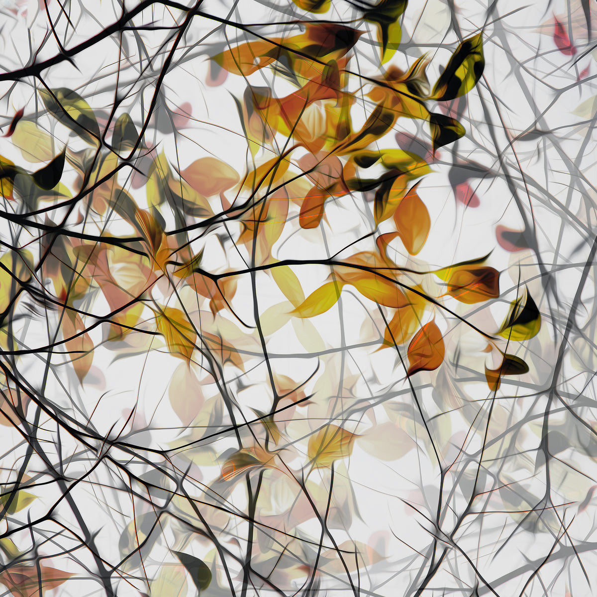 acrylic-print-autumn-song