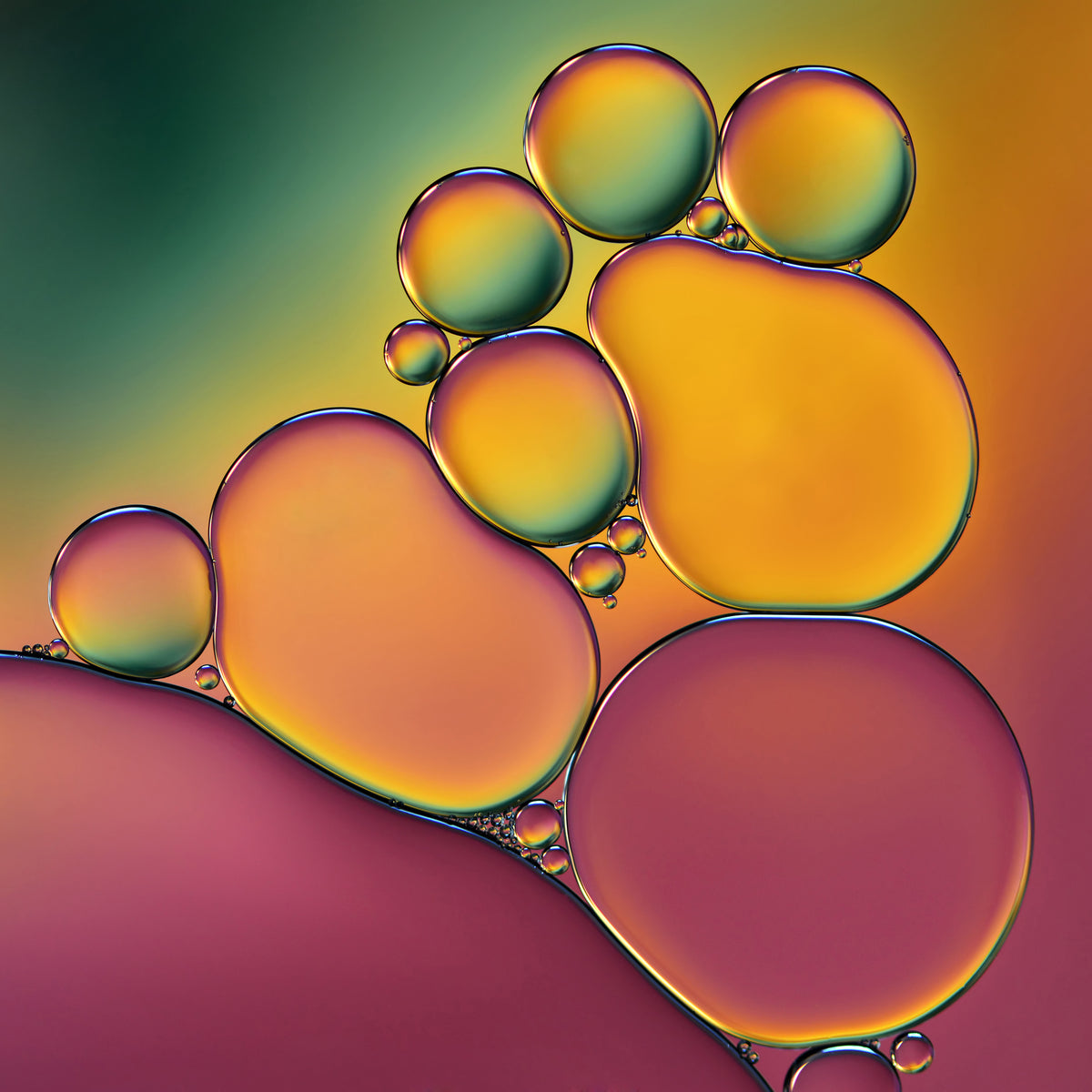 4-piece-acrylic-print-acrobats