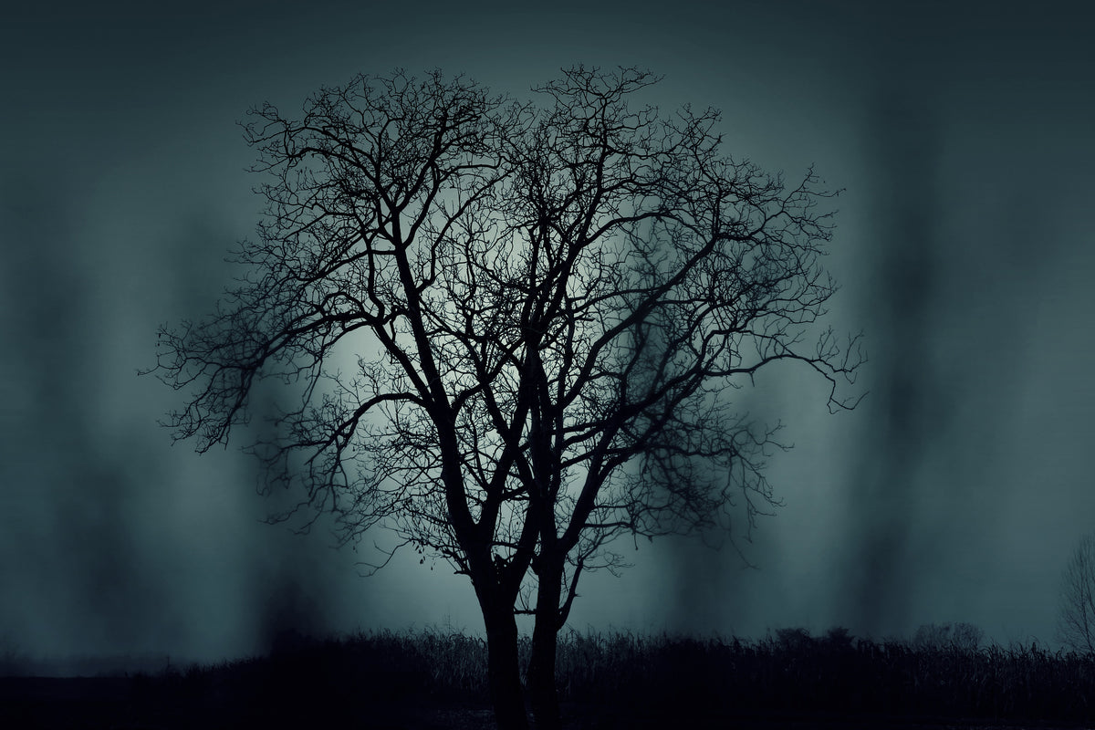 modern-3-piece-acrylic-print-the-tree-in-darkness