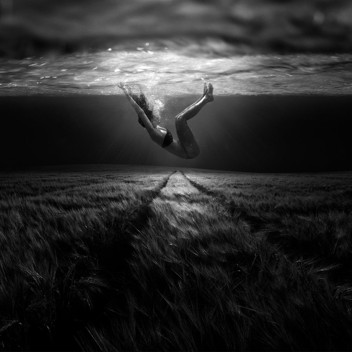 canvas-print-underwaterlandream