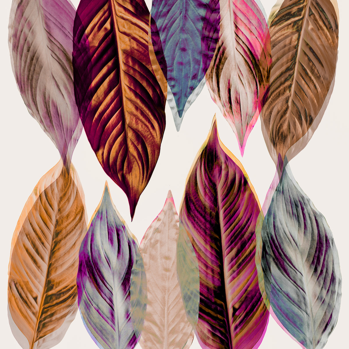 canvas-print-red-and-pink-leaves