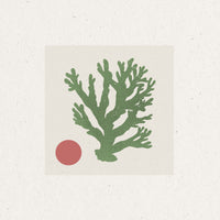 aluminium-print-coral-and-sun