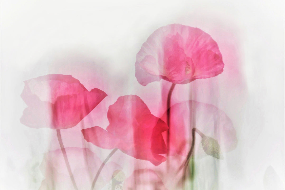 3-piece-canvas-print-flowers