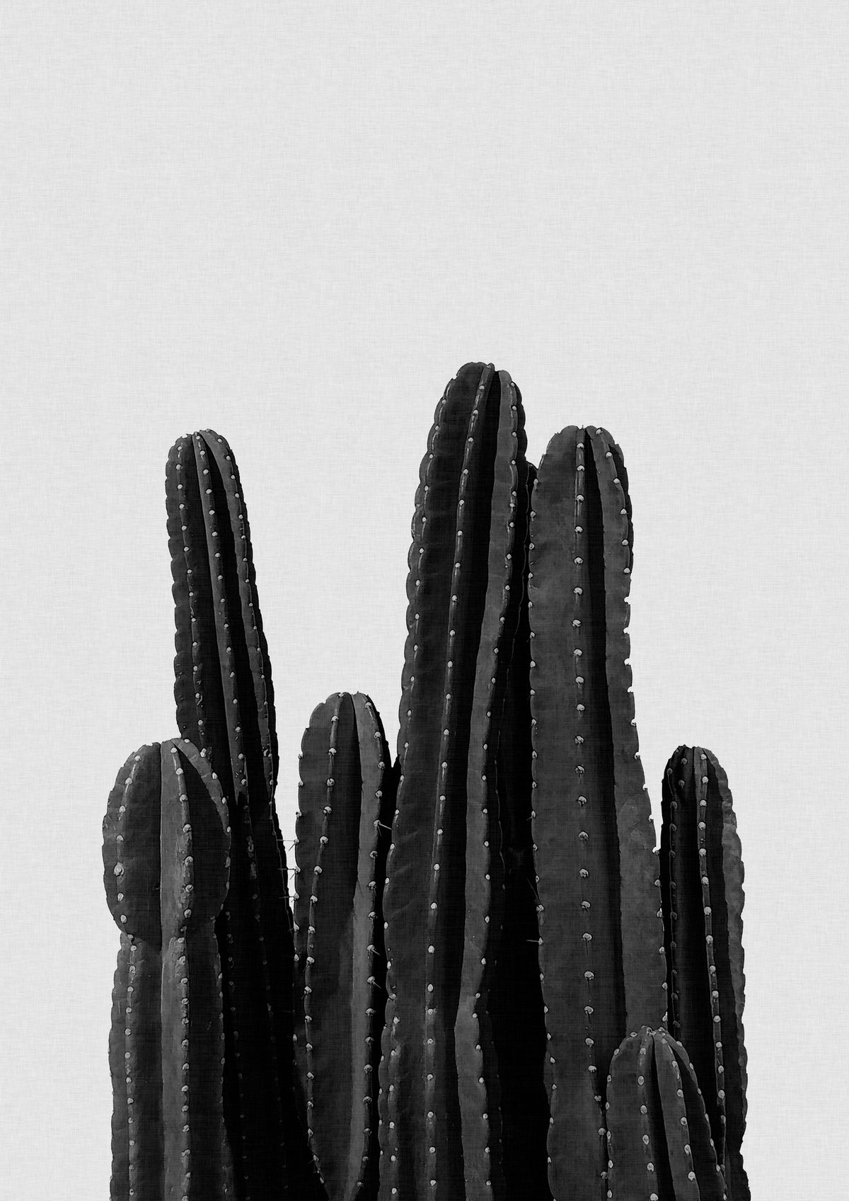 framedcanvas-print-cactus-black-white