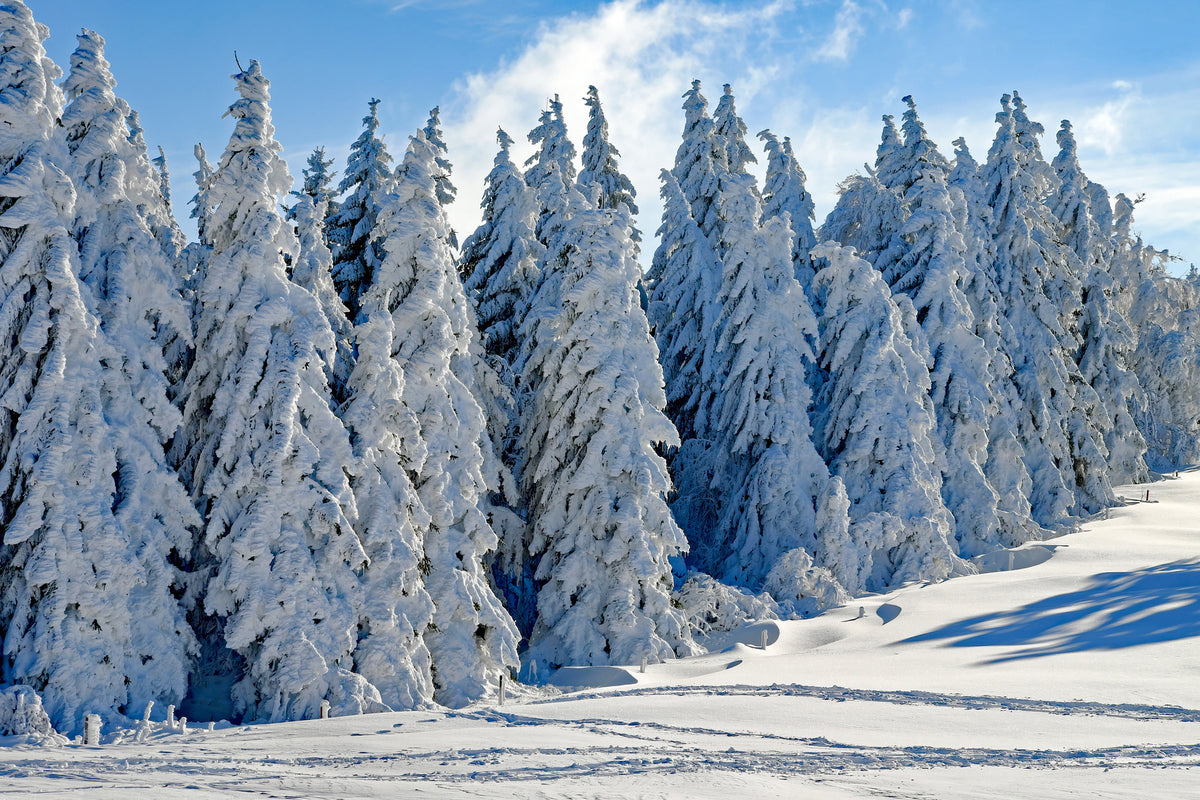 3-piece-acrylic-print-beautiful-winter-landscape
