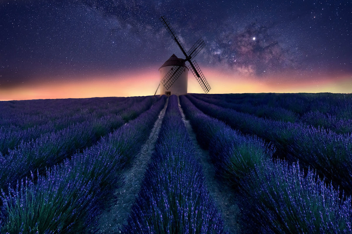 framedcanvas-print-lavender-night-x