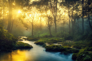modern-3-piece-canvas-print-green-forest-in-sunlight-with-forest-stream