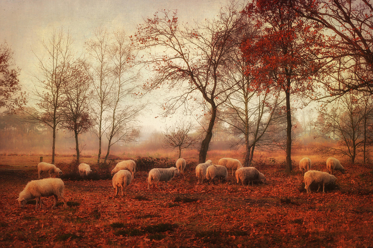 3-piece-aluminium-print-last-days-of-autumn