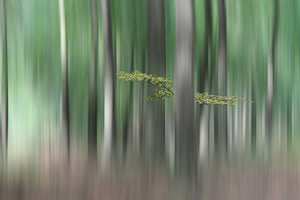 3-piece-aluminium-print-summermorning