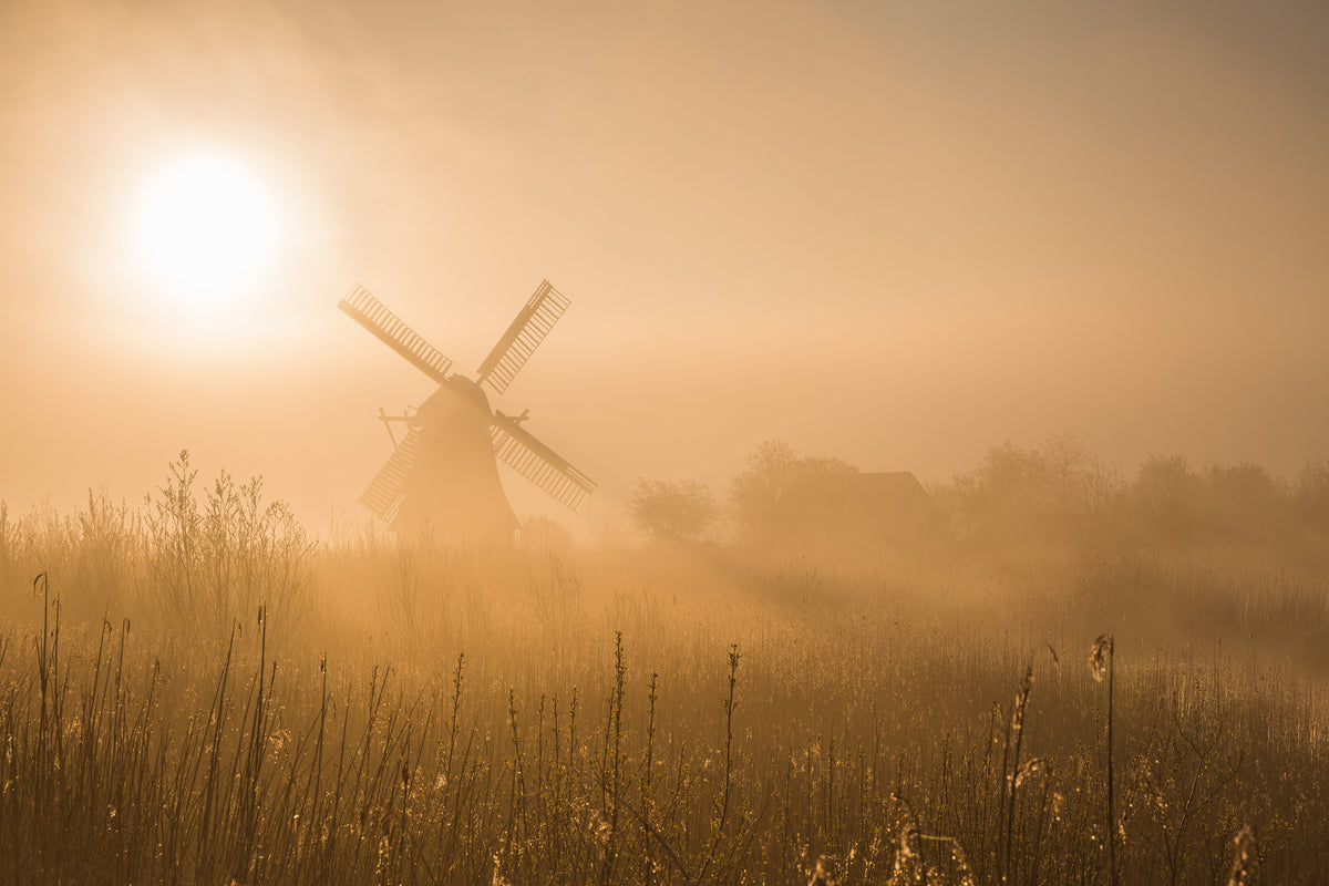 framedcanvas-print-golden-dawn-x