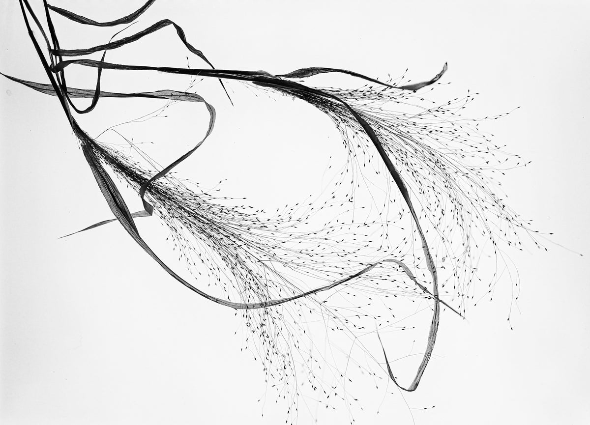 canvas-print-falling-in-love-with-elegance