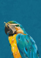 aluminium-print-vibrant-macaw-wearing-glasses