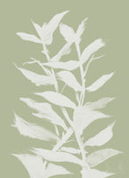 aluminium-print-botan-3