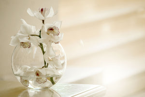 poster-print-orchid-in-the-glass