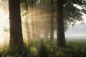 3-piece-canvas-print-first-day-of-summer