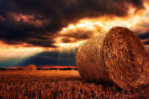 canvas-print-mystic-landscape
