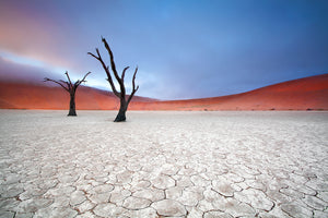 framedposter-print-mist-over-deadvlei-x