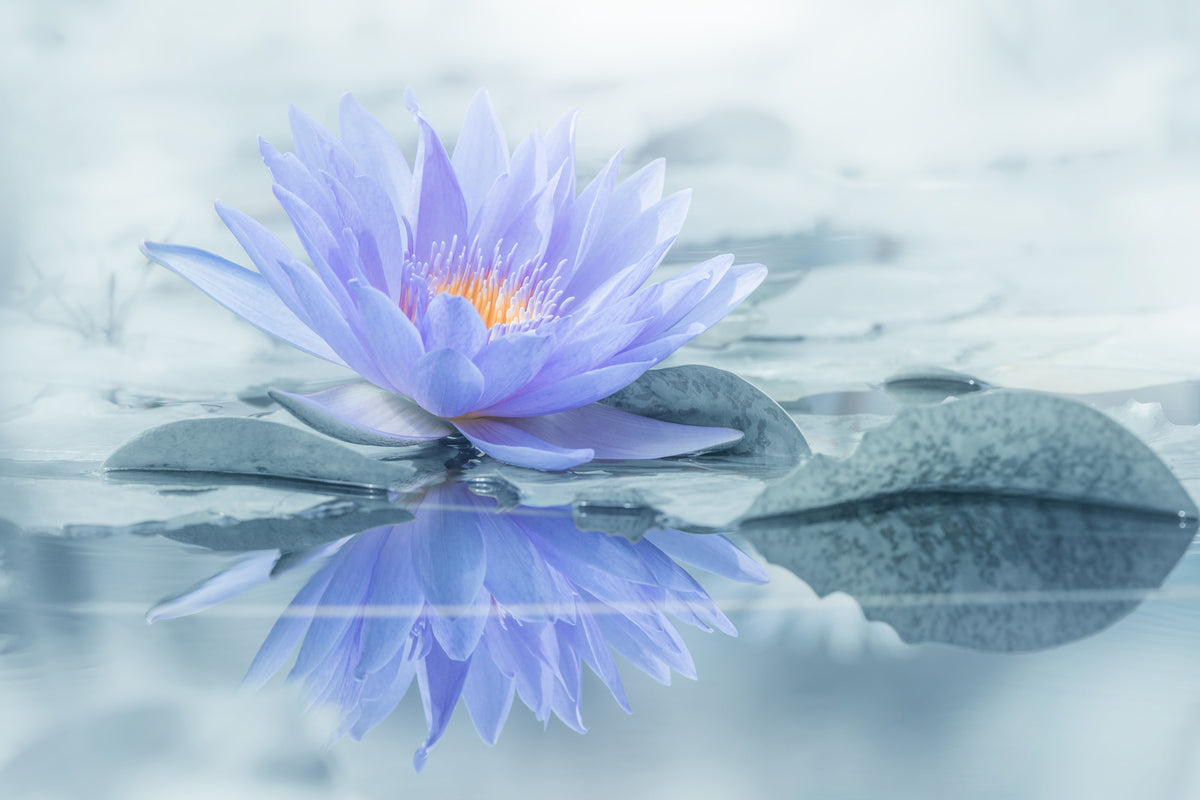 canvas-print-reflection-xus