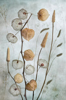 aluminium-print-stille-botanica