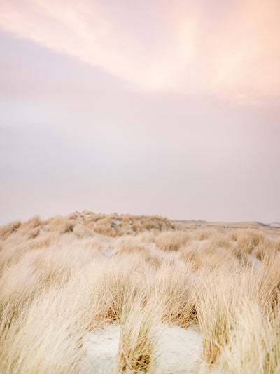 poster-print-ameland-dunes-2