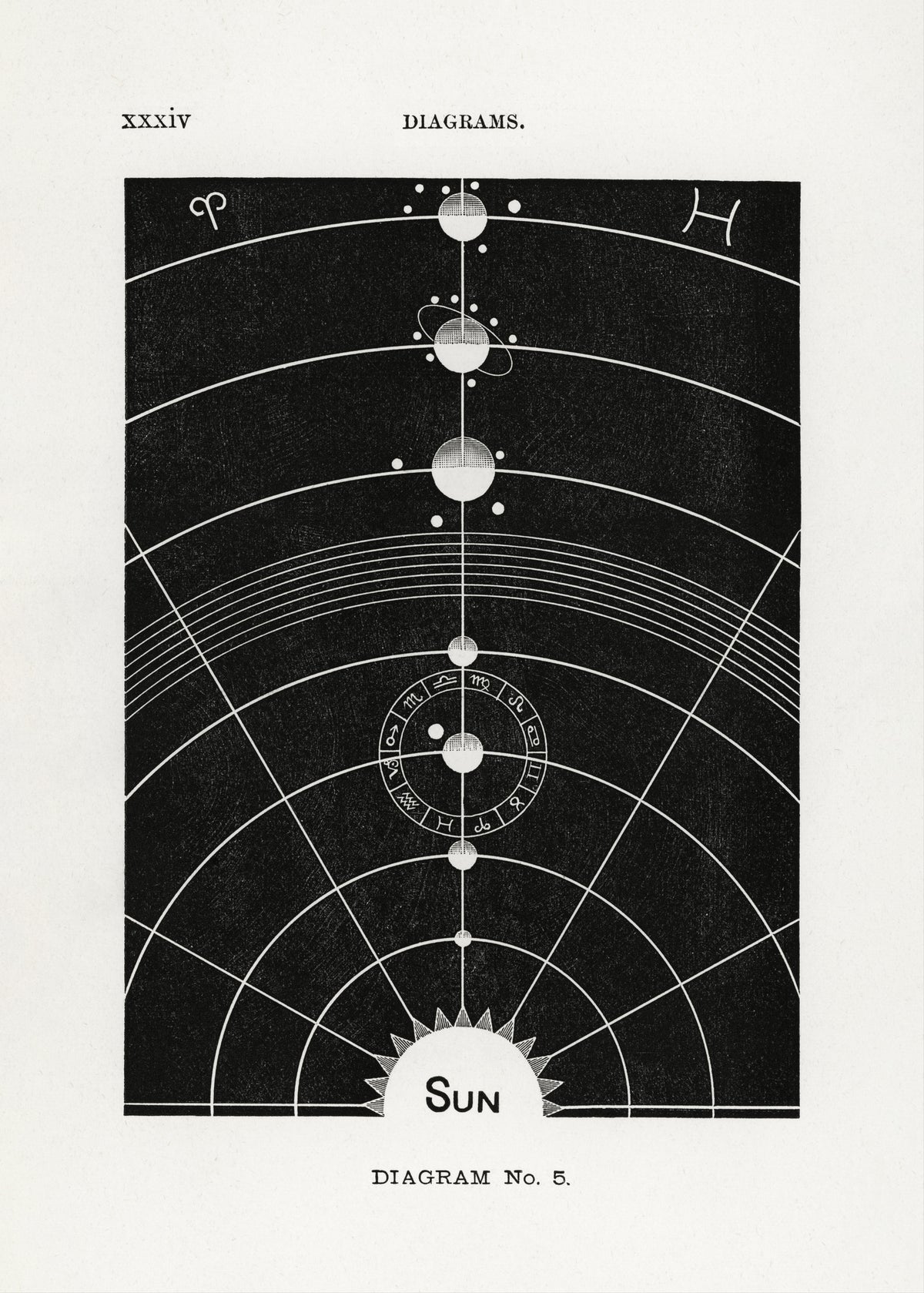aluminium-print-solar-biology-no-5
