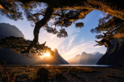 poster-print-sunny-day-in-milford-sound-x