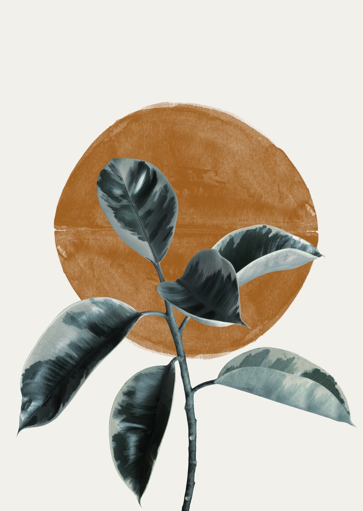 acrylic-print-leaf-and-sun