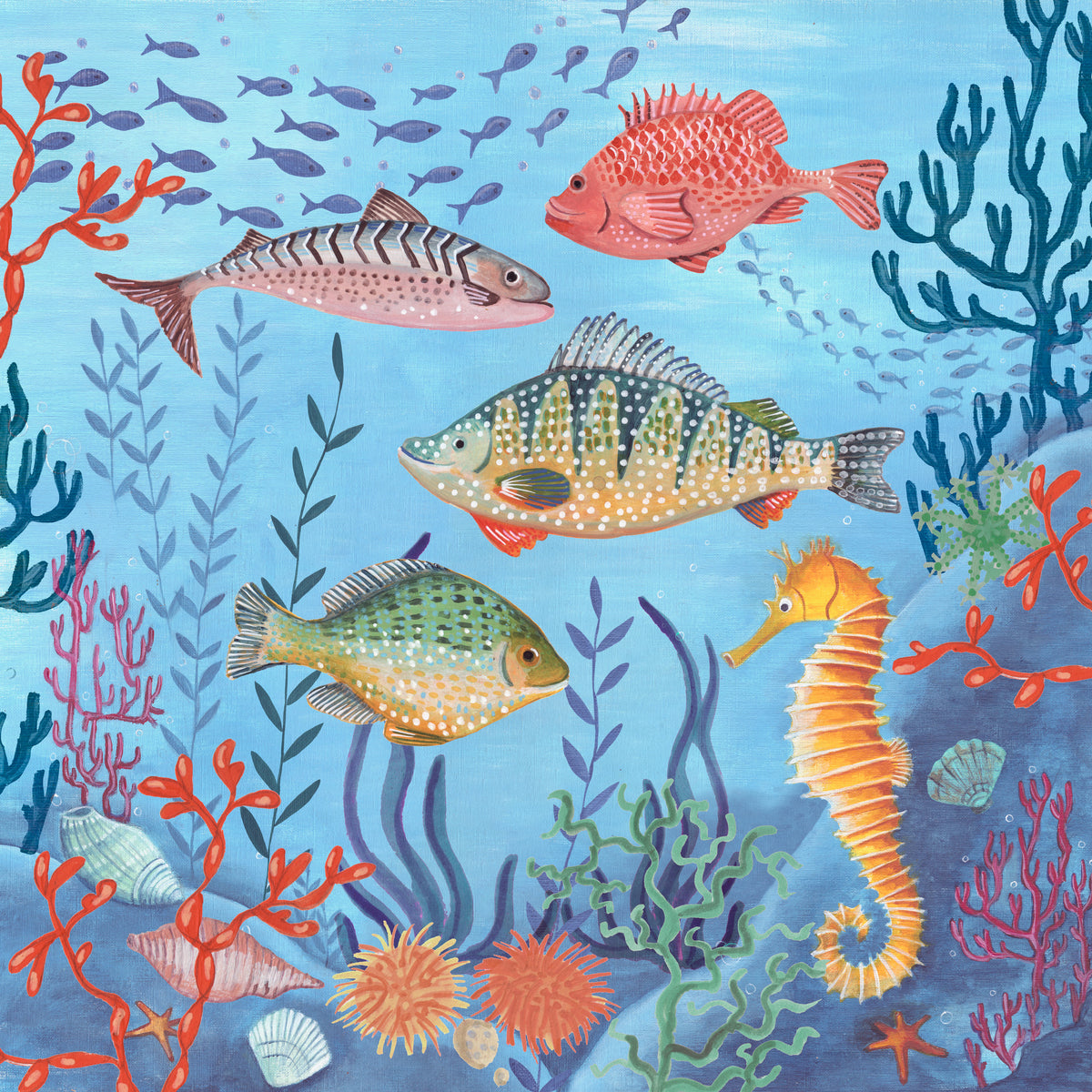 acrylic-print-ocean-life-2