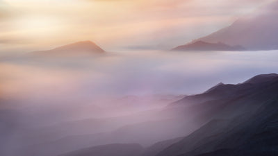 poster-print-vanilla