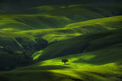 poster-print-savana-mamboro-x