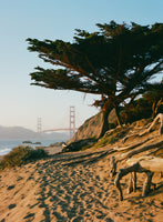 acrylic-print-san-francisco-beach-sunset