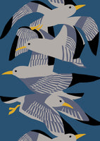 acrylic-print-p-2024-002