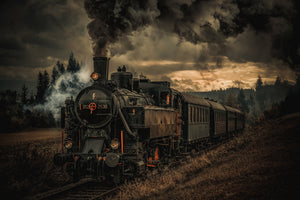 framedposter-print-gold-digger-train-x