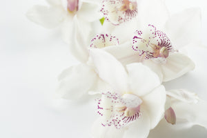 acrylic-print-fantastic-orchids