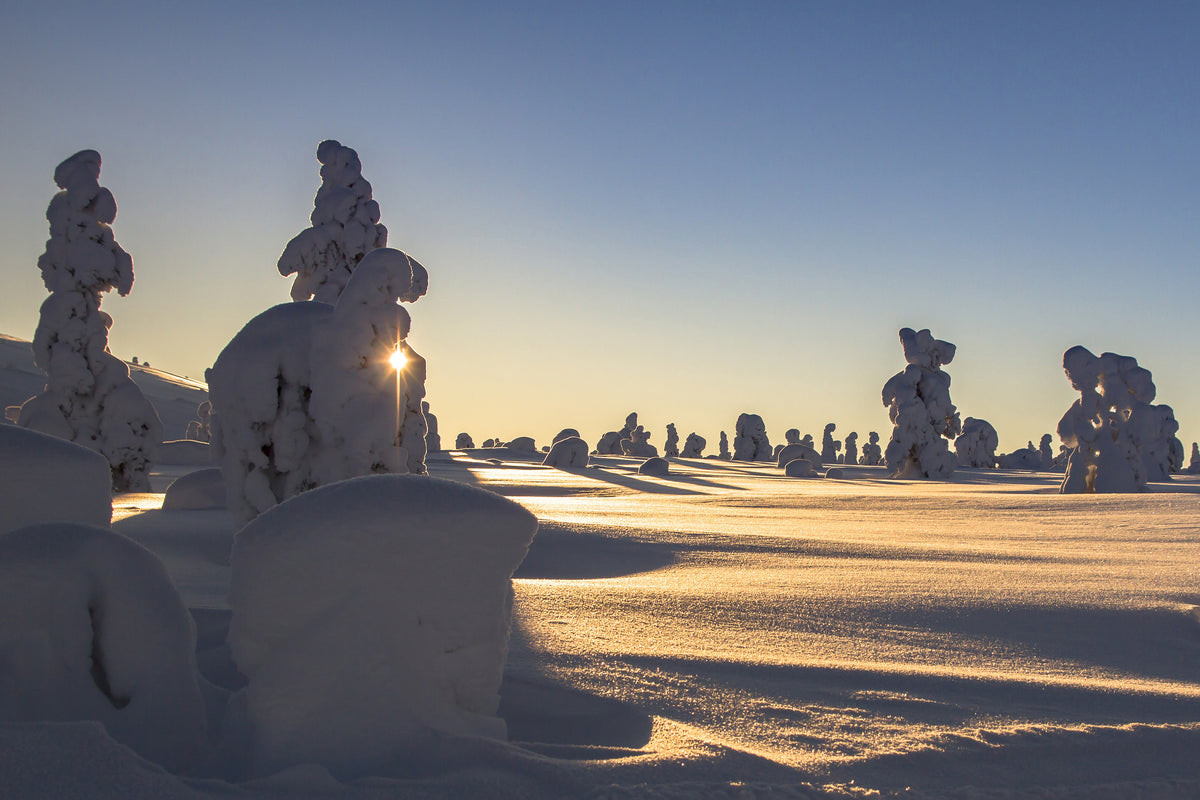 acrylic-print-in-lapland
