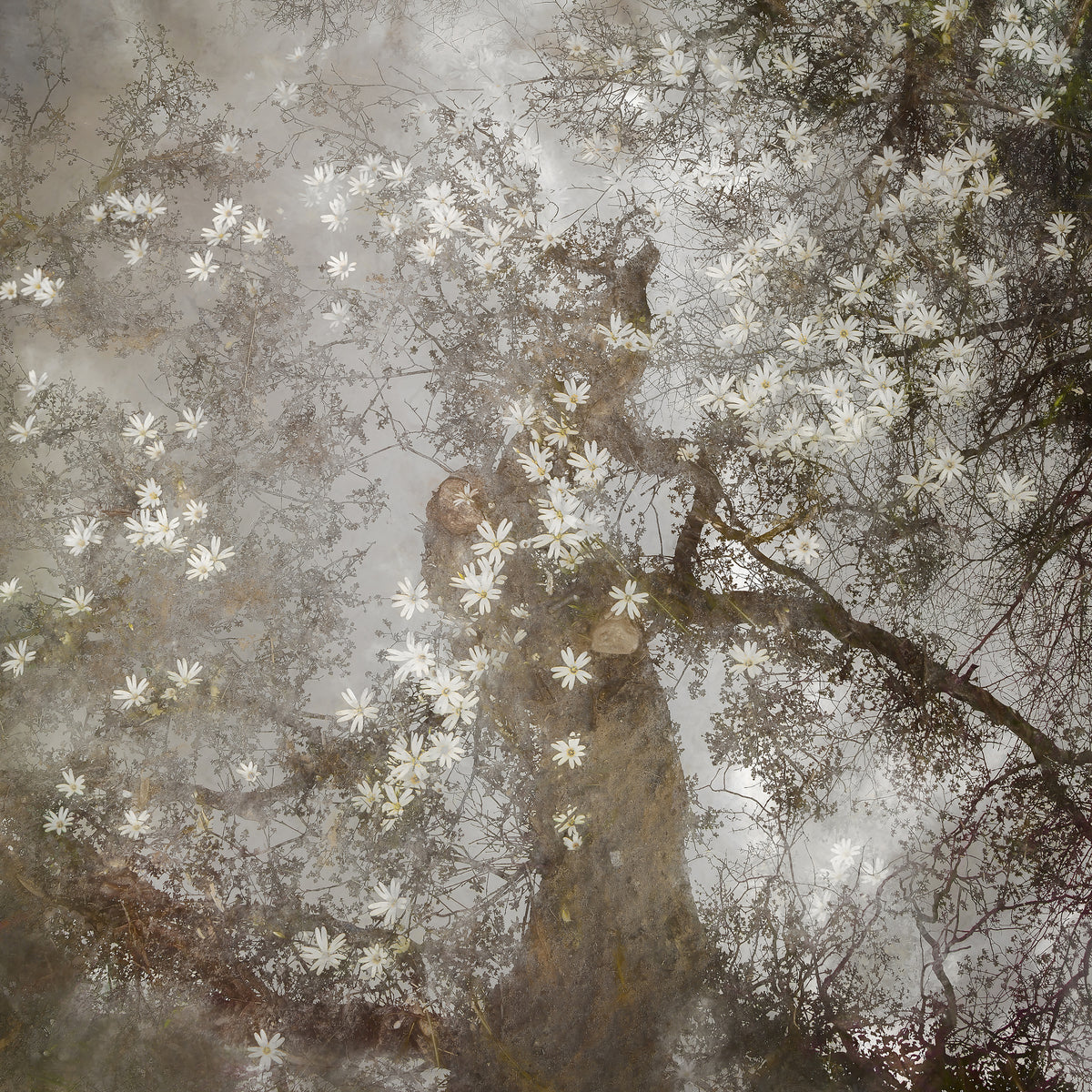 4-piece-acrylic-print-up-to-heaven