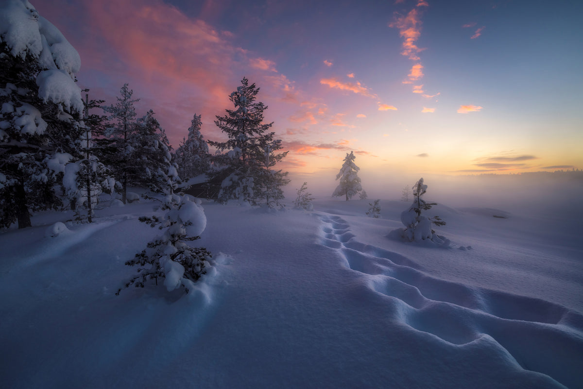 framedcanvas-print-winter-steps-x