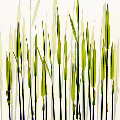 poster-print-a-new-beginning