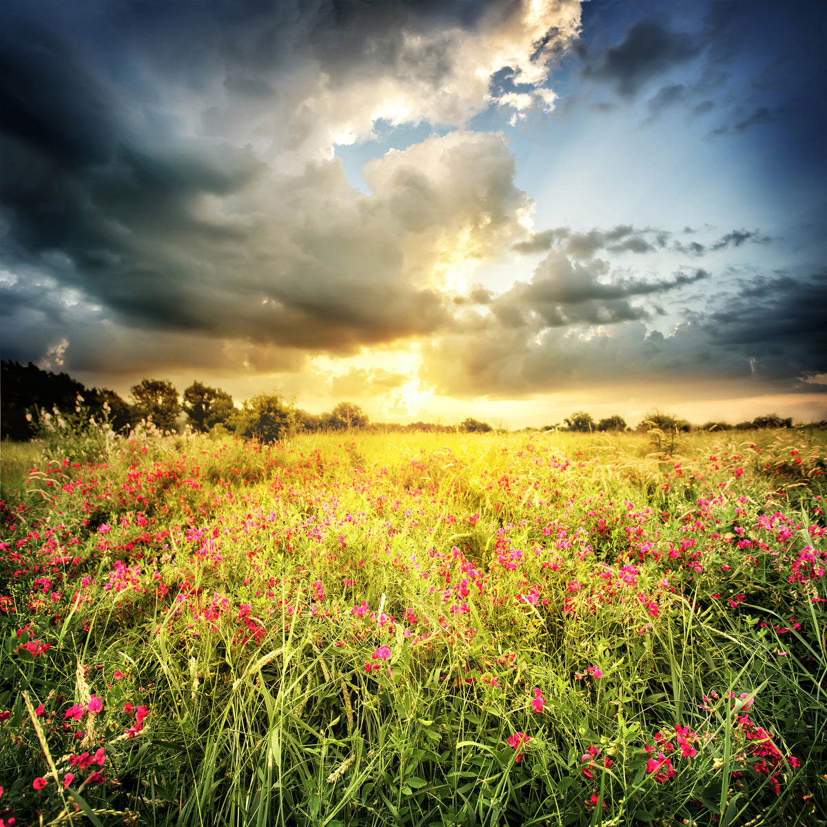 4-piece-acrylic-print-flowers-landscape