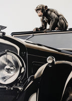 framedcanvas-print-monkey-and-the-bentley