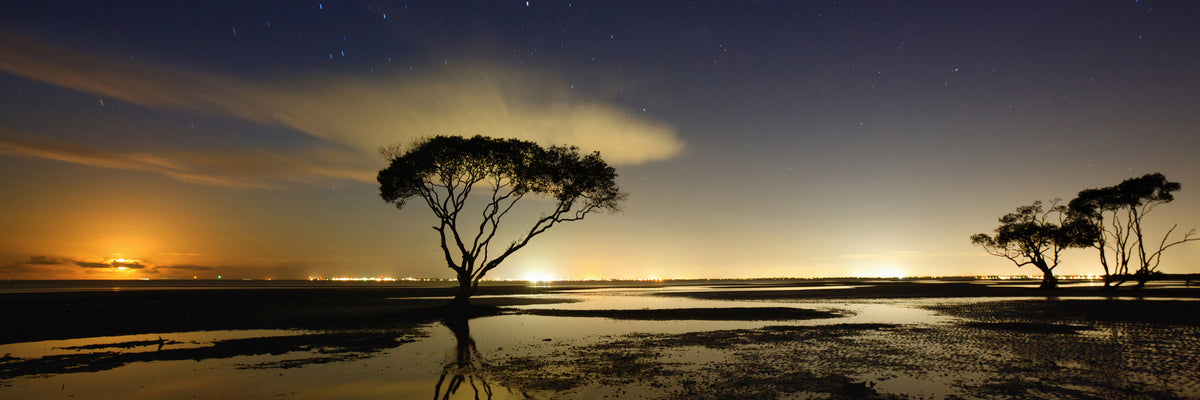 panoramic-canvas-print-moonrise-panorama