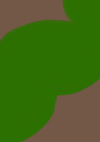 aluminium-print-verdant-whispers