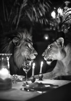 framedposter-print-lions-candlelight-dinner